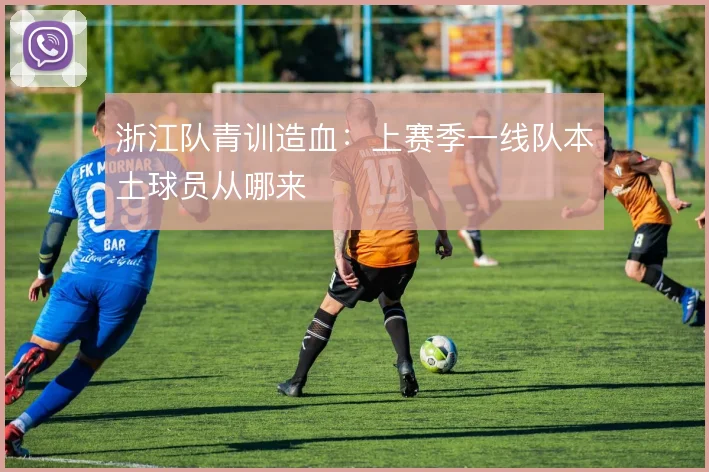 浙江队青训造血：上赛季一线队本土球员从哪来