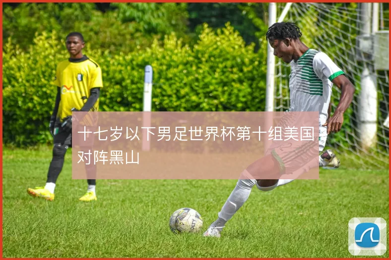 十七岁以下男足世界杯第十组美国对阵黑山
